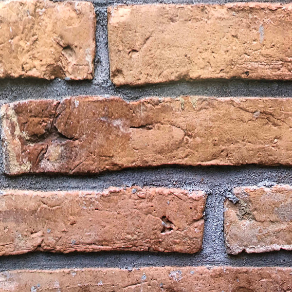 Rustic Brick Red Sample