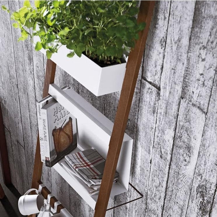 Rustic wooden leaning ladder shelf with potted green plants, books, and kitchen towels against a weathered wood plank wall in a cozy home interior setting.